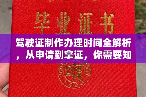 通霄驾驶证制作办理时间全解析，从申请到拿证，你需要知道的一切