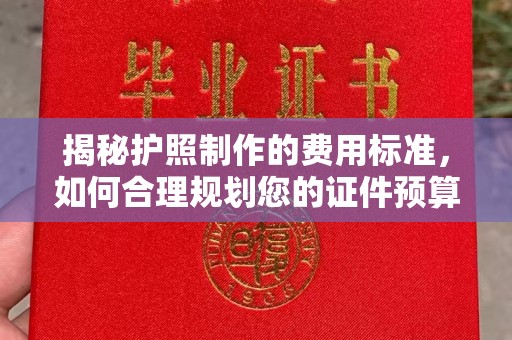 通霄揭秘护照制作的费用标准，如何合理规划您的证件预算