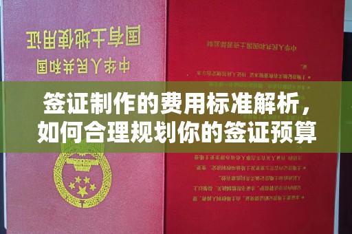通霄签证制作的费用标准解析，如何合理规划你的签证预算
