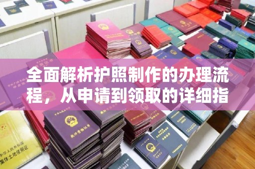 通霄全面解析护照制作的办理流程，从申请到领取的详细指南