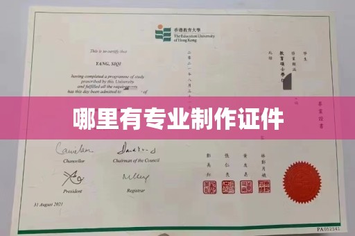 通霄哪里有专业制作证件