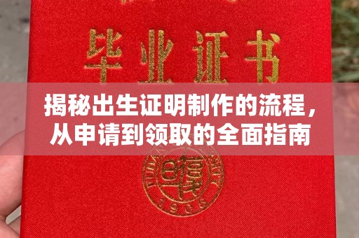 通霄揭秘出生证明制作的流程，从申请到领取的全面指南