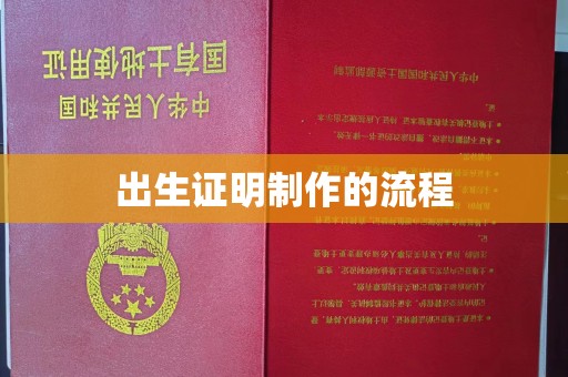 通霄出生证明制作的流程